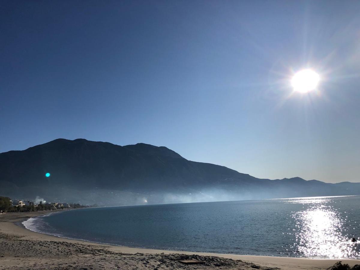 Elion Luxury Apartments Kalamata Exteriér fotografie